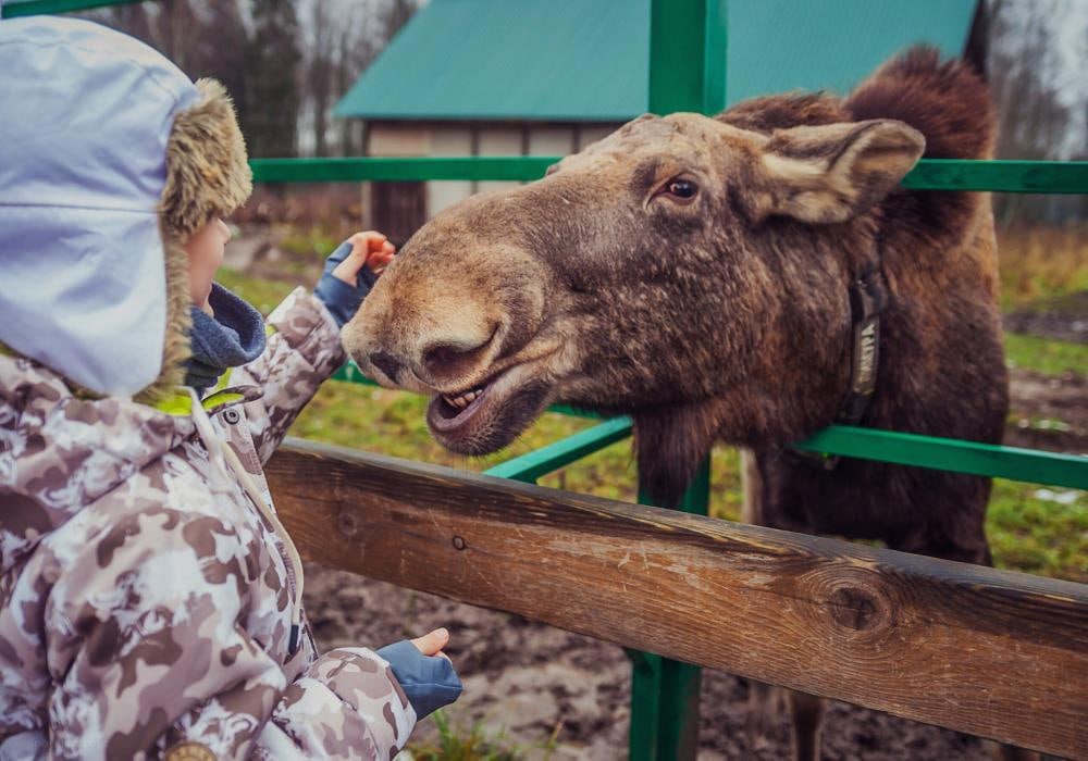 Национальный проект бкд что это. Смотреть фото Национальный проект бкд что это. Смотреть картинку Национальный проект бкд что это. Картинка про Национальный проект бкд что это. Фото Национальный проект бкд что это