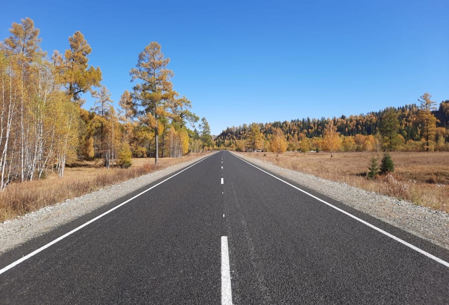 Автомобильная дорога в парке. Автодорога. Коллекторно-распределительная автодорога. Распределительная автомобильная дорога в парке.