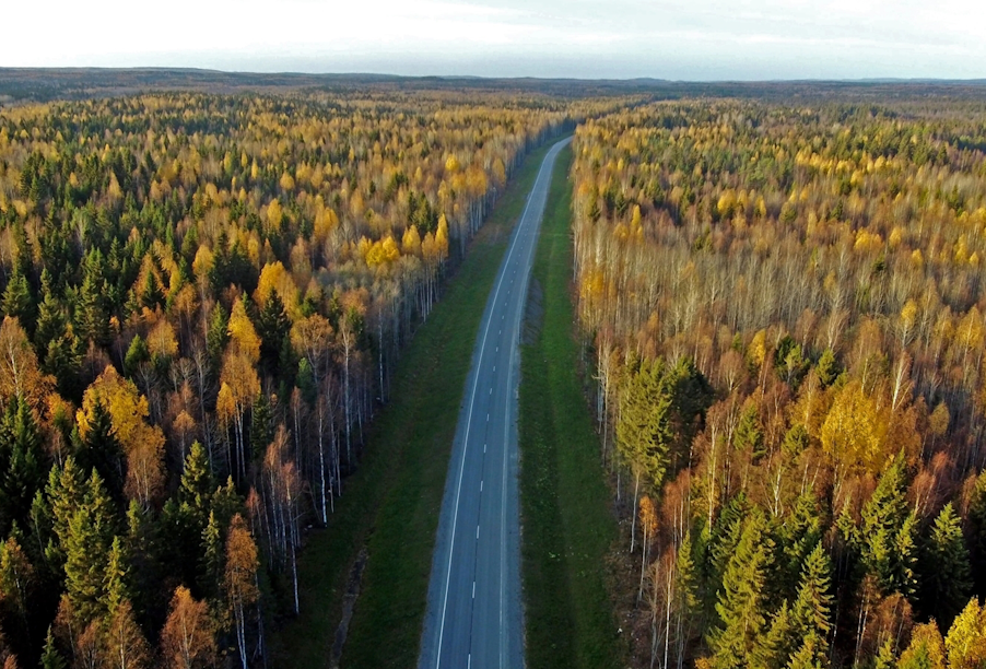 В Республике Карелия по нацпроекту привели к нормативу свыше 260 км автодорог